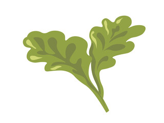 Vegetable with green leaves, spring foliage vector