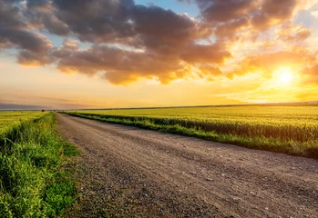 Wall murals Meadow, Swamp Country road and green wheat fields natural scenery at sunrise