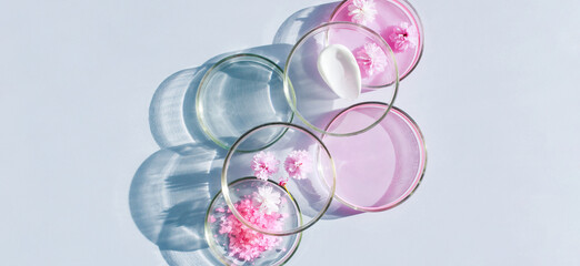 petri dish pattern with cosmetic samples on a light background