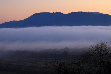 岩手県平泉町　夜明けの束稲山