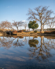 茨城県水戸市　水戸駅周辺の日常の風景