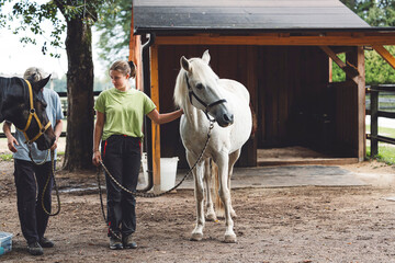 Trainer holidng a white horse on the leash getting him ready for horse back riding