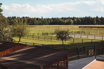 A view over a beautiful land at the ranch - home of the horses