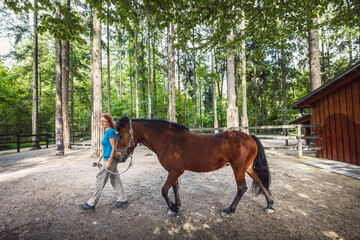 Side view of a brown horse and woman trainer walking by him, holding him for his leash