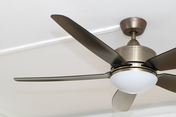Ceiling fan  hangs from white ceiling