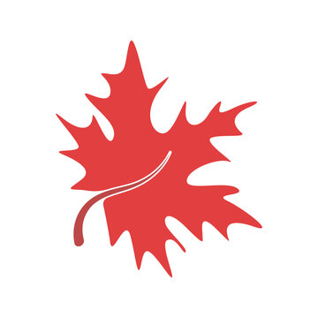 Maple logo icon design