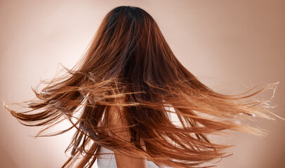 Hair care, beauty salon and cosmetics of a woman doing hair flip on studio background for luxury...