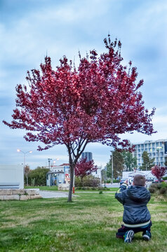 Βοy with camera shooting in the park. Piraeus city ,Greece.