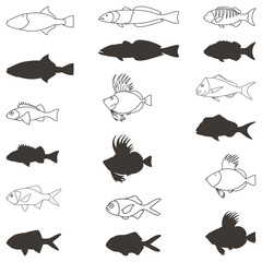 Free vector collection of fish in various types 3