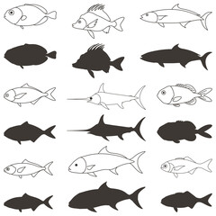 Free vector collection of fish in various types 2