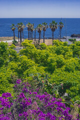 Catania city seafront with lush, colourful, bright and gorgeous  vegetation. Catania province, Sicily, Italy