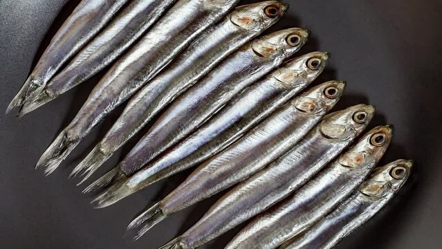 Anchovy european, hamsa fresh, several small fish rotating, turning, close-up macro, top view.
