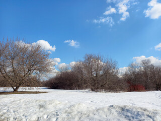 The atmosphere of early spring. Melting snow, trees and blue sky on a sunny March day