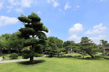 台湾の庭園