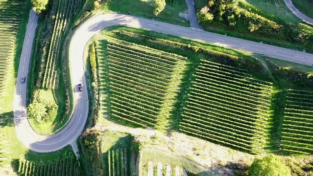 Drohnenvideo vom Texaspass am Kaiserstuhl mit Blick auf die Weinberge. Oberbergen, Breisgau, Schwarzwald, Freiburg, Baden-W&uuml;rttemberg, Deutschland.
