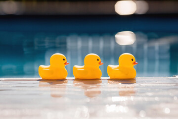 Summer season, the concept of a children's game. Little rubber yellow ducks in the pool. Toys...