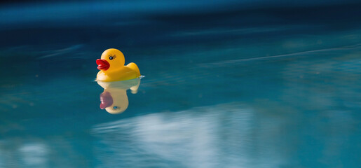 Summer season, the concept of a children's game. A small rubber yellow duck swims in the water in...