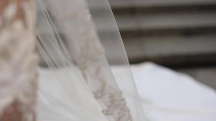 the bride's wedding veil on the wedding dress