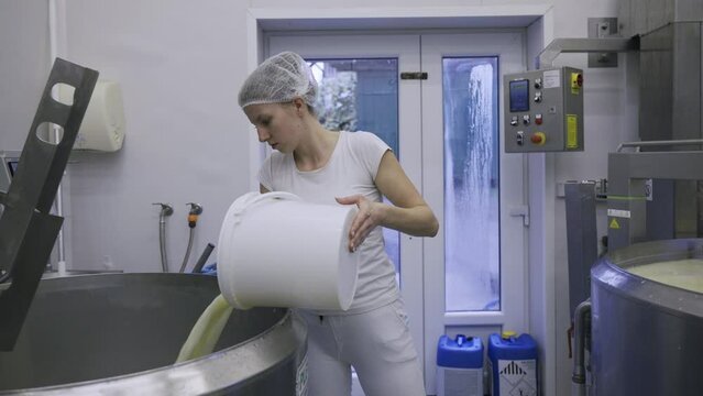 Woman dairy farm worker in a white uniform transferring milk from one pot to another 