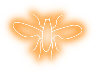 Collection of butterflies and insects neon