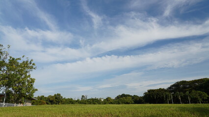 clouds over the field