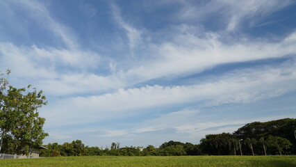 clouds over the field