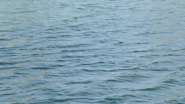 Lake bay water. Blue water lake close up. Water movement video. Space for text.
