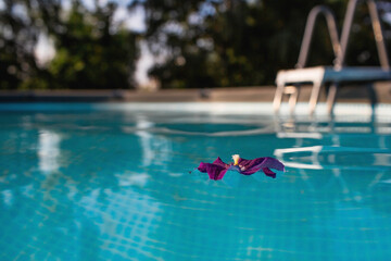 Swimming pool with metal frame for home and garden. Frame swimming pool in the yard. Solar banner.Installation of the pool. The concept of summer holidays and recreation.