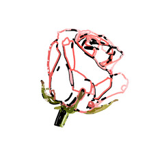 Obraz premium digital brush stroke color line drawing of a flower with transparent and colorful background