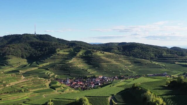 Drohnenvideo vom Texaspass am Kaiserstuhl mit Blick auf die Weinberge. Dolly-Zoom Effekt. Oberbergen, Breisgau, Schwarzwald, Freiburg, Baden-W&uuml;rttemberg, Deutschland.