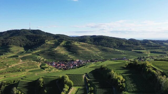 Drohnenvideo vom Texaspass am Kaiserstuhl mit Blick auf die Weinberge. Dolly-Zoom Effekt. Oberbergen, Breisgau, Schwarzwald, Freiburg, Baden-W&uuml;rttemberg, Deutschland.