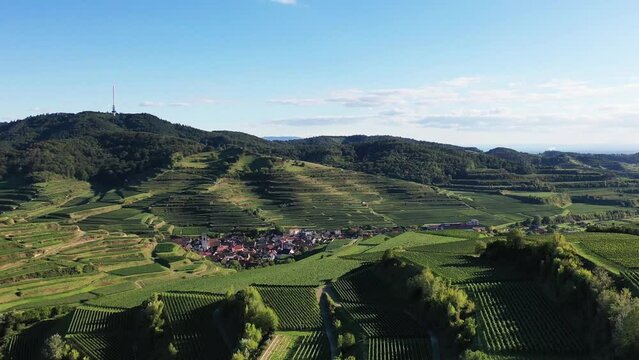 Drohnenvideo vom Texaspass am Kaiserstuhl mit Blick auf die Weinberge. Dolly-Zoom Effekt. Oberbergen, Breisgau, Schwarzwald, Freiburg, Baden-W&uuml;rttemberg, Deutschland.
