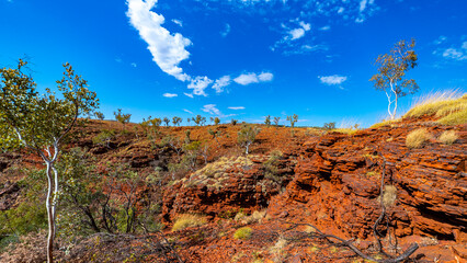 panorama of karijini national park in western australia; australian outback with red rocks, distinctive trees and mountains in the background