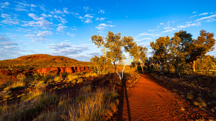 Sunrise over dales gorge in karijini national park, western australia; Australian outback with red rocks, distinctive trees and mountains in the background