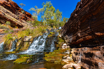 a panorama of fortescue falls in dales gorge in karijini national park in western australia; a waterfall in a lush red canyon in the desert with red sand and rocks