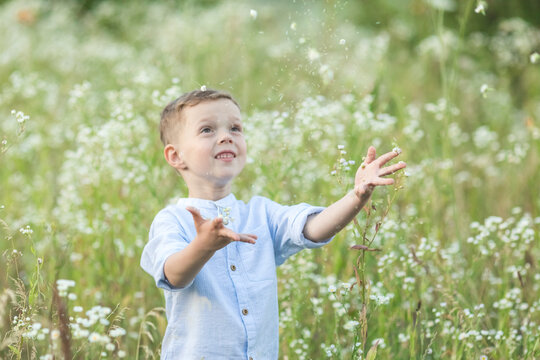 Small baby boy has fun on a warm summer day in the field of flowers daisy. stock image stock photo