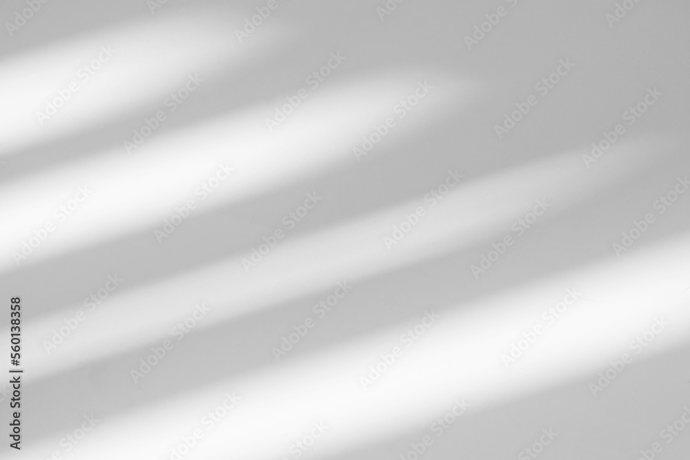 Poster gray shadow and light blur abstract background on white wall from window. dark stripe grey shadows i