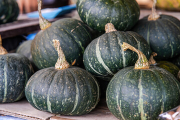 Green pumkins at the market during harvest season.