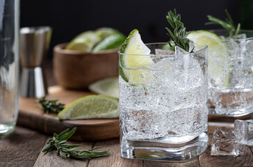 Gin and tonic cocktail with lime. rosemary and ice
