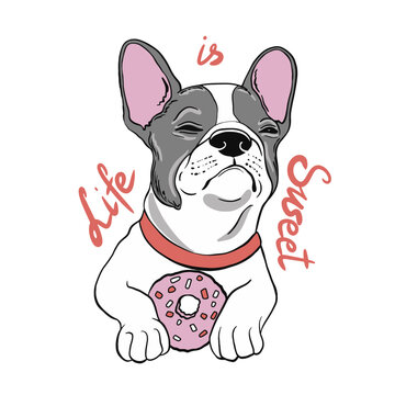 Chilling funny dog french bulldog with donut. Valentine's day card. Humorous postcard, t-shirt composition, hand drawn style print. Vector illustration.