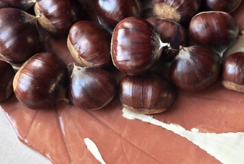 Chestnuts on ceramic plate with leaf design