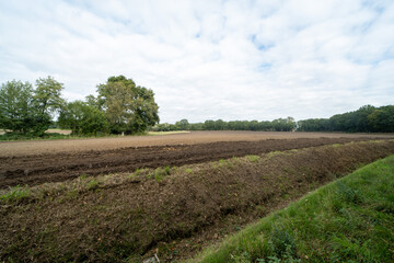 Agricultural field outside of Rheine, Germany