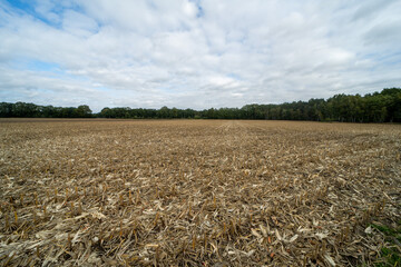 Agricultural field outside of Rheine, Germany