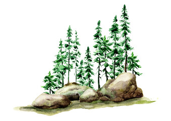 Wild Forest landscape wih rocks and fir trees. Hand drawn watercolor illustration,  isolated on white background
