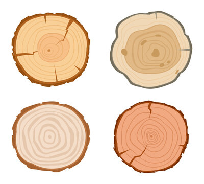Tree trunk cuts. Cartoon round pine, oak or birch slices, lumber wooden industry materials, wood lumber saw cuts flat vector illustration set on white background