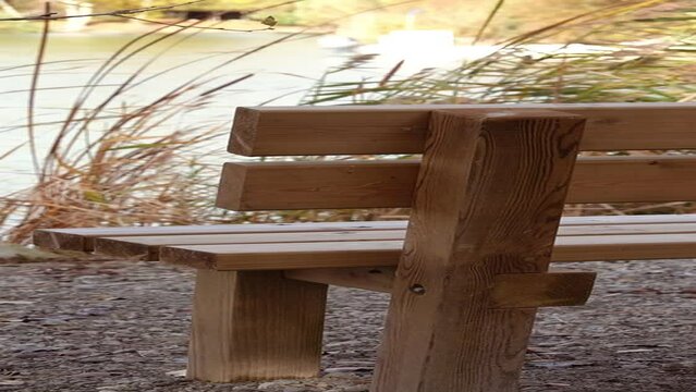 Wooden bench in nature. Lake of Buzerens, Bram, France. Lone wooden bench in a park in front of the lake.