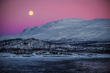 Fullmoon under pink sky
