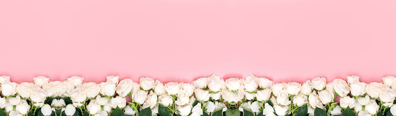 Modern floral backgrounds, flowers styling flat lay. Viva Magenta color of the year 2023