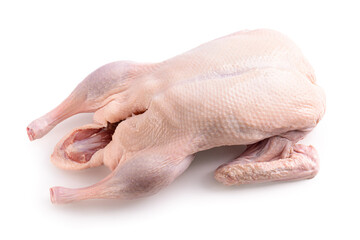 Fototapeta premium Raw and uncooked whole duck isolated on white background