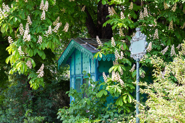 Chestnut blossom at Buttes Chaumont garden in Paris, France